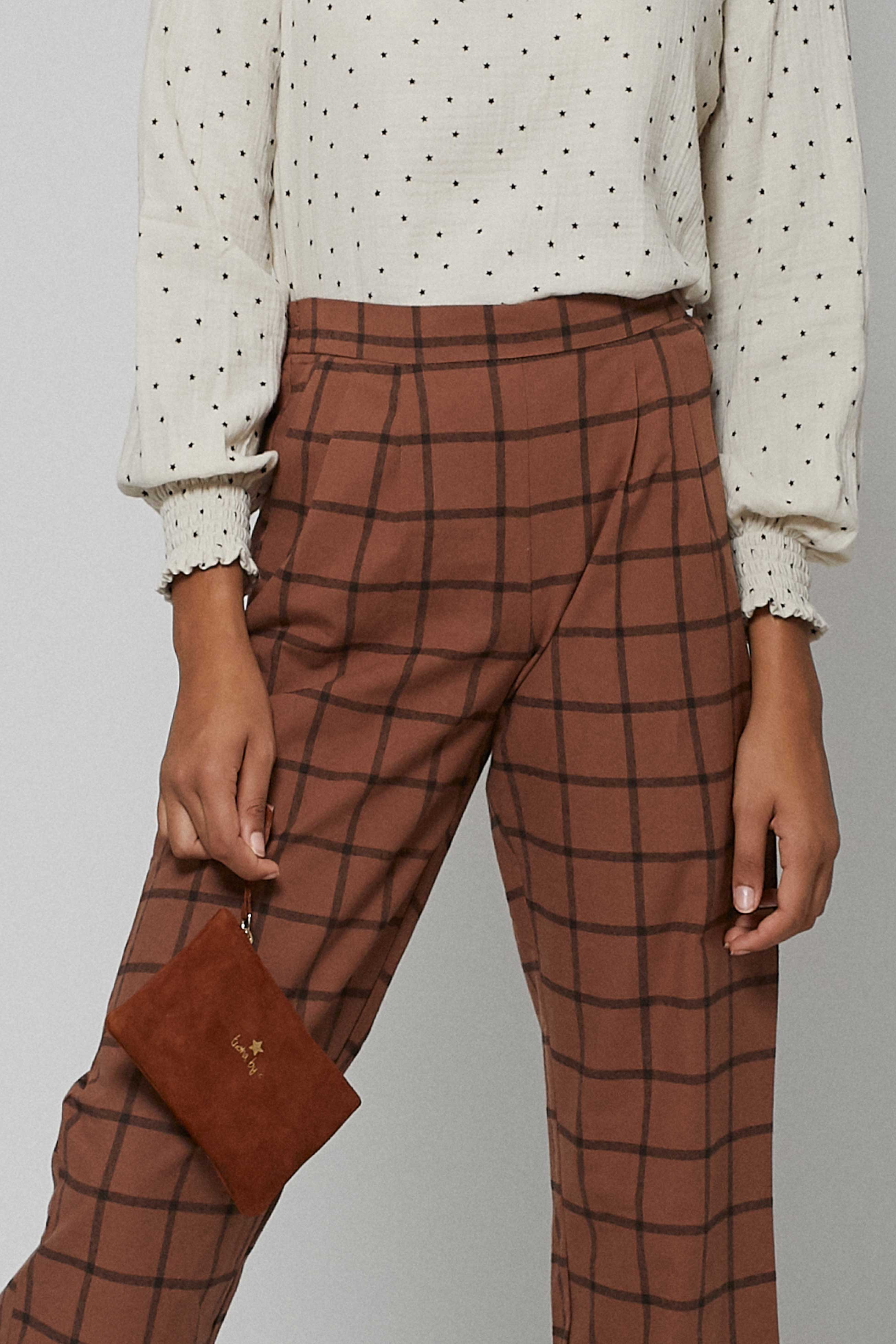 Cartera ante marron