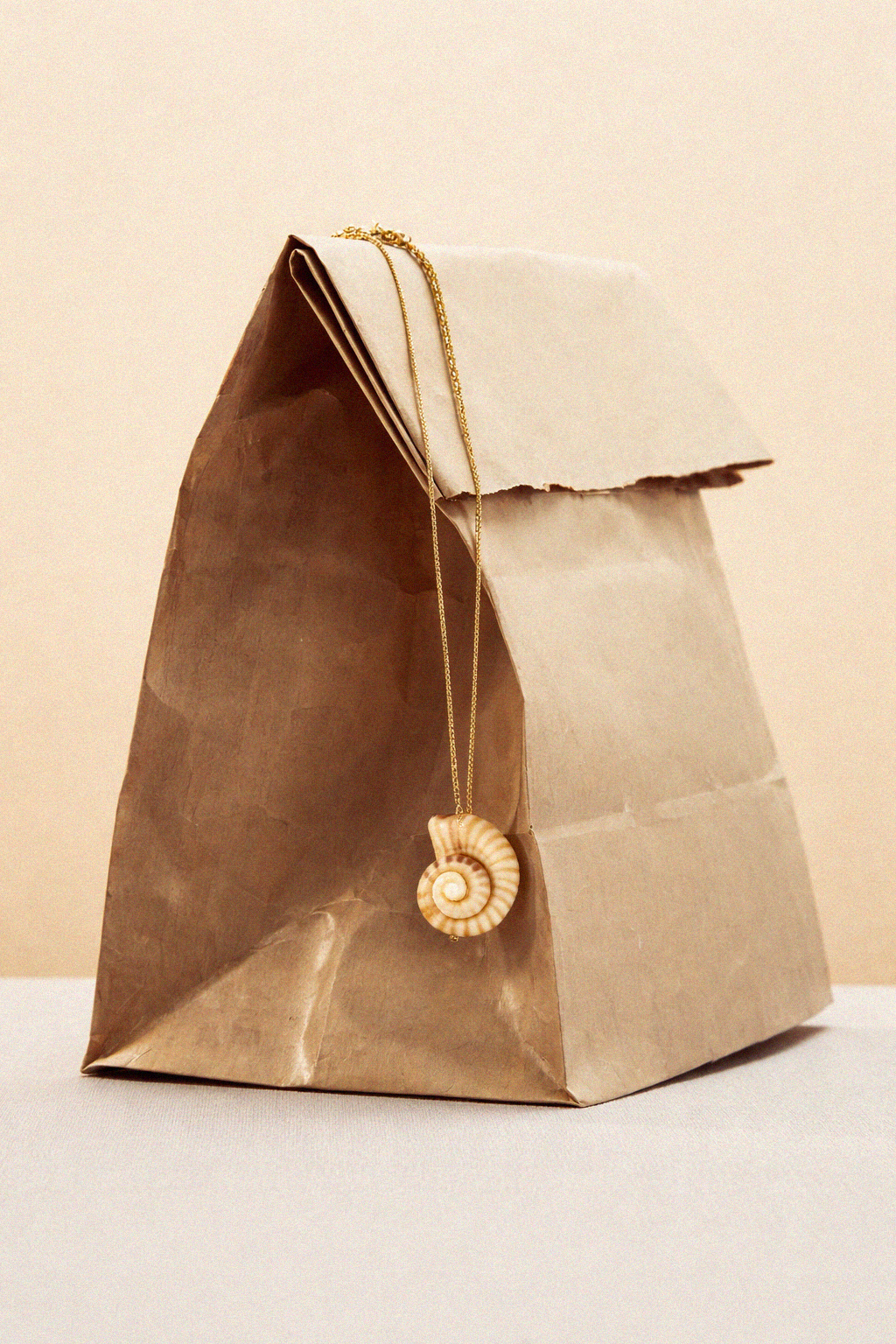 Collar concha blanca