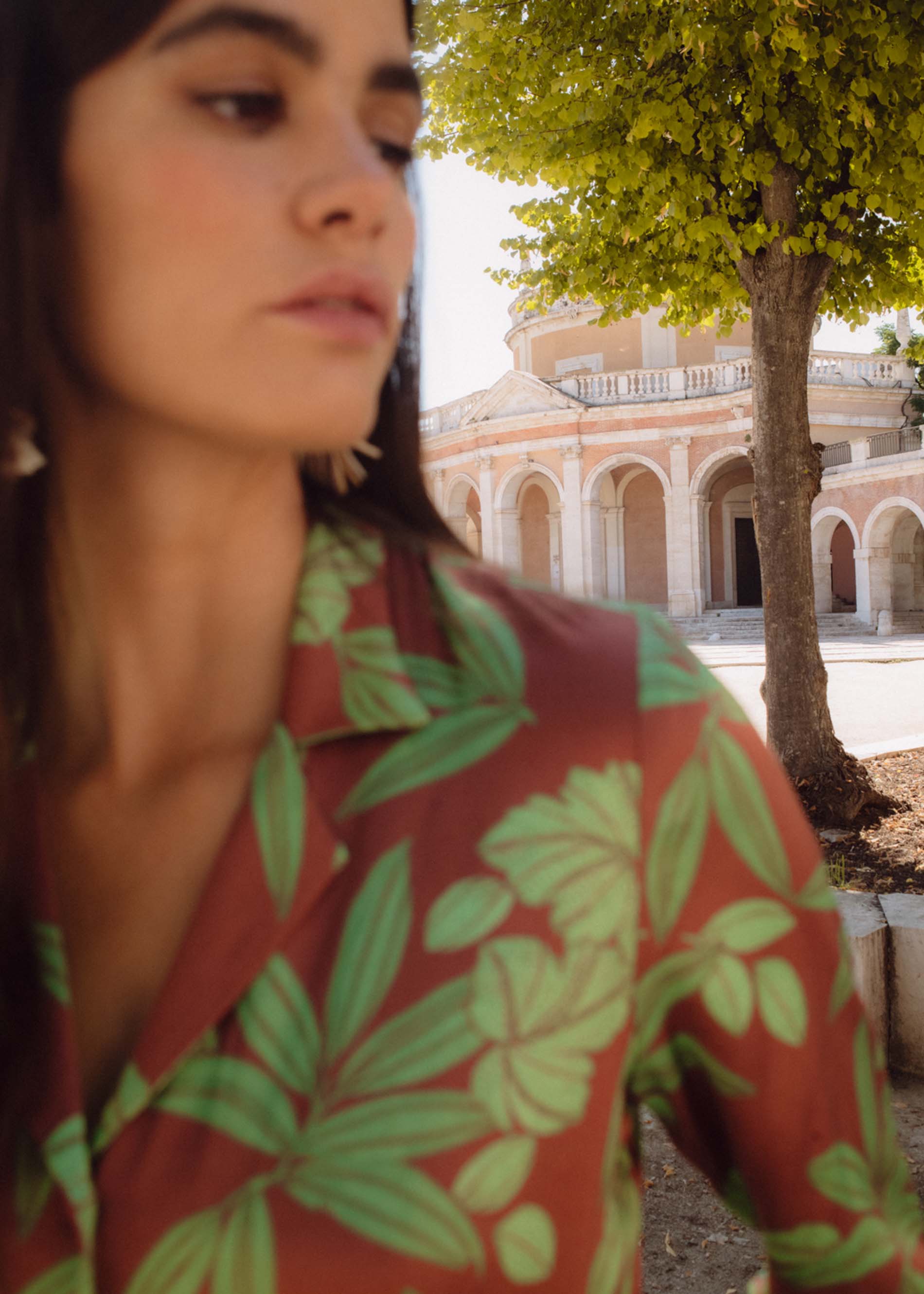 Mono DAM print hojas