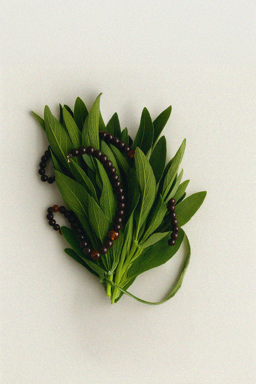 Florida necklace
