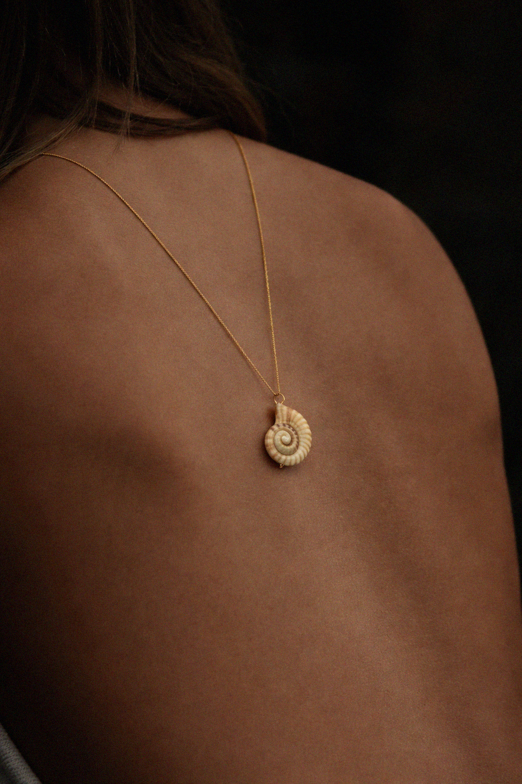 Collar concha blanca