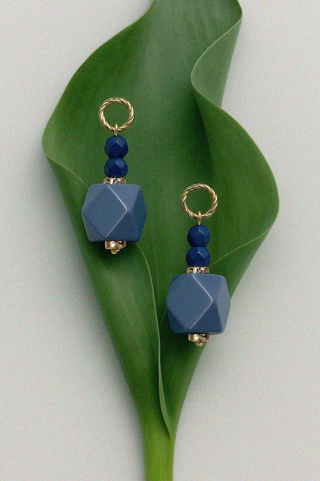 Florida earrings